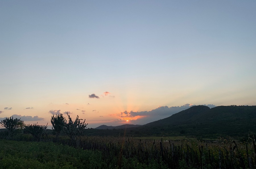 Imagem do pôr do sol na fazenda